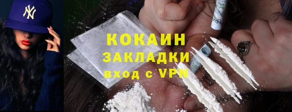 хмурый Верея
