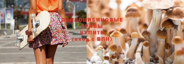 хмурый Верея