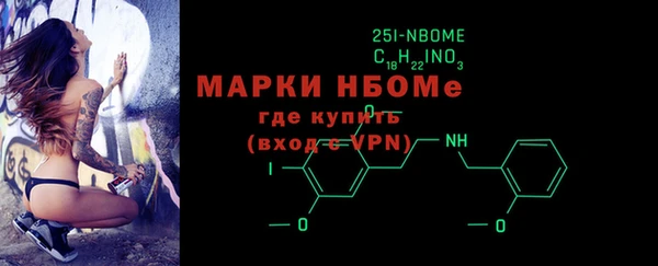 хмурый Верея