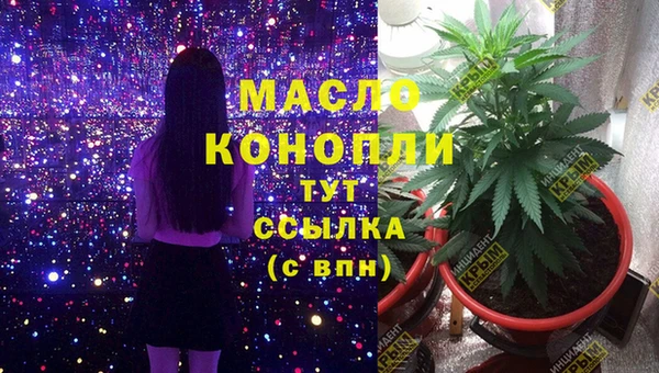 хмурый Верея