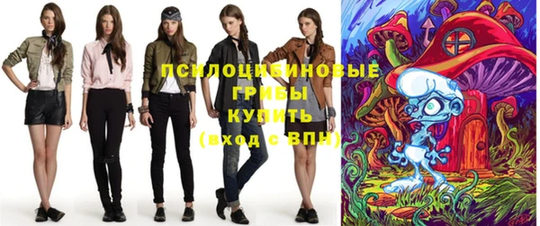 хмурый Верея