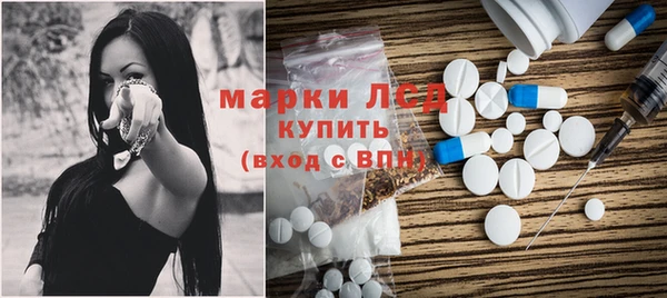 хмурый Верея