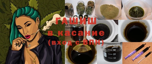 хмурый Верея